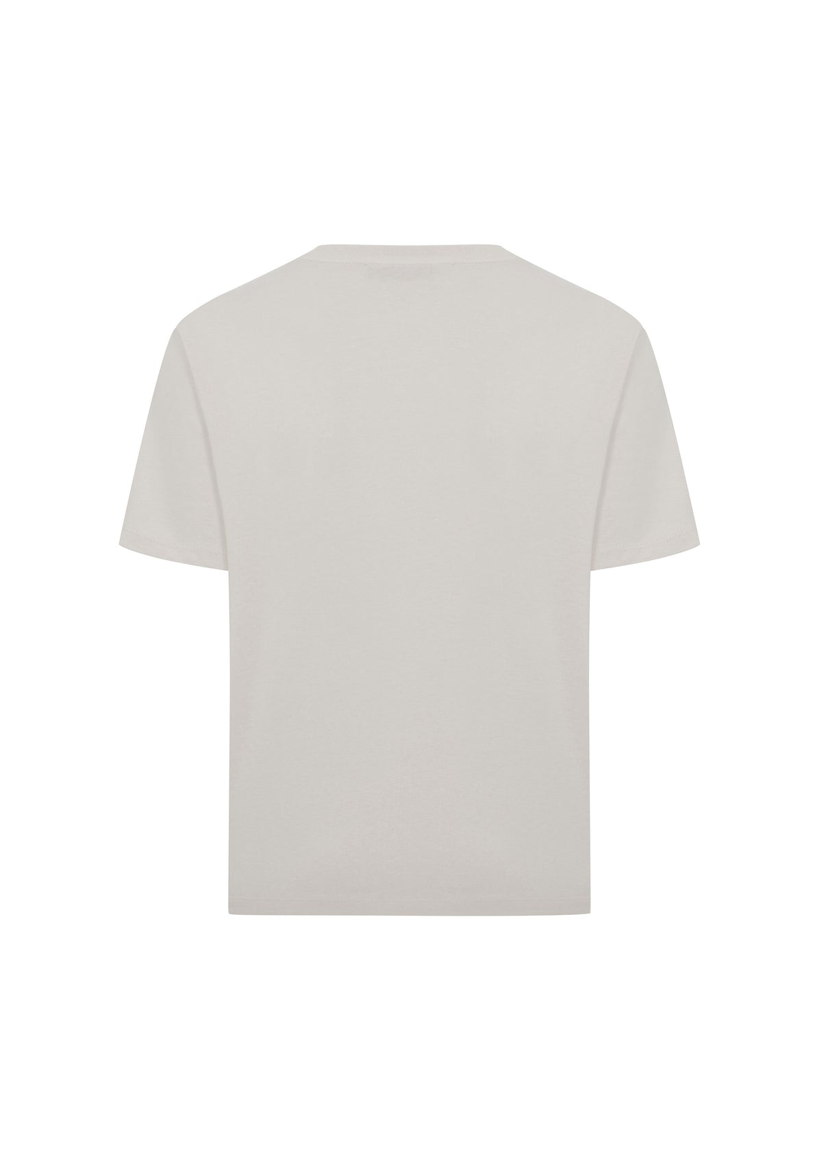 Regular T-Shirt - Açık Gri